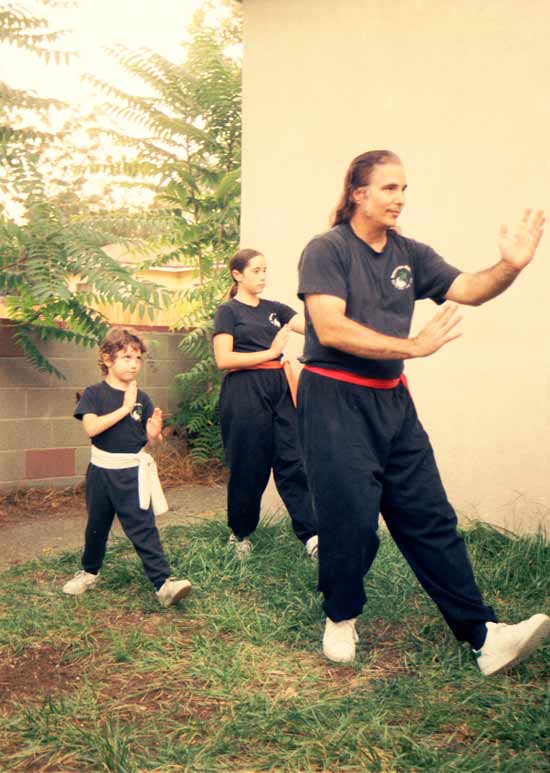 Tai Chi Playing The Pipa