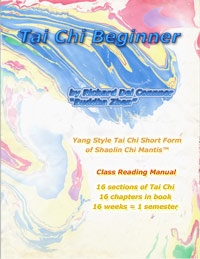 book cover of TAI CHI BEGINNER by Buddha Zhen